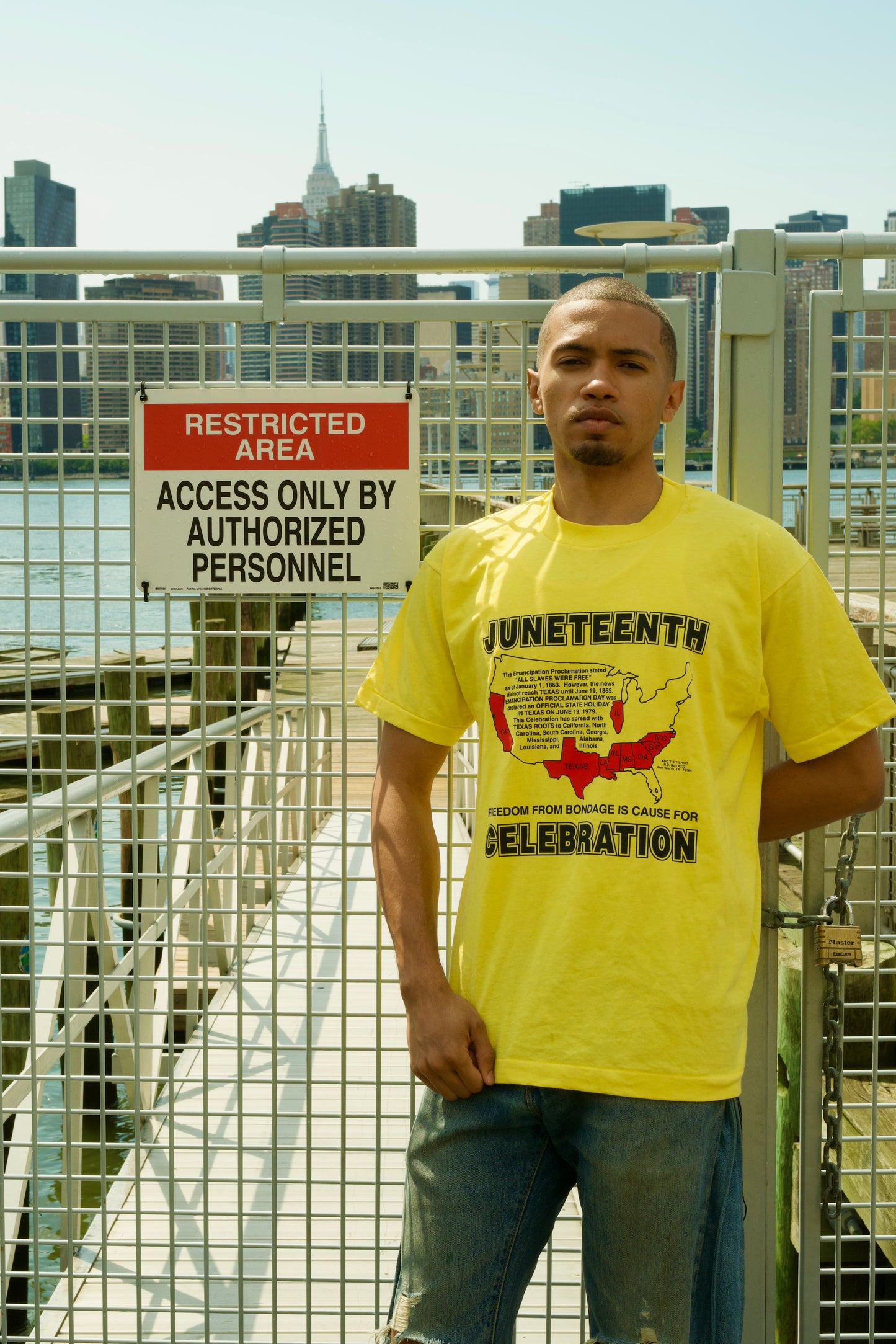 1980’s Juneteenth Celebration Tee